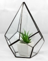 Terrarium_01c.jpg