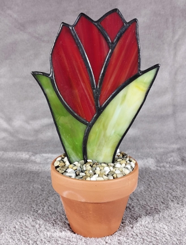 Kwiat w doniczce_Tulipan-1.jpg