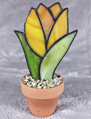 Kwiat w doniczce_Tulipan-4.jpg
