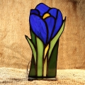 Lampion-Krokus_2b.jpg