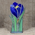 Lampion-Krokus_2a.jpg